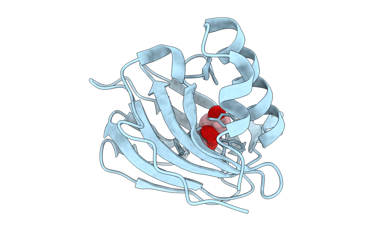 5BPX image