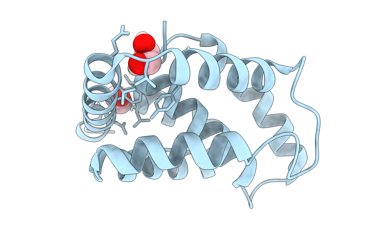 5BPZ image