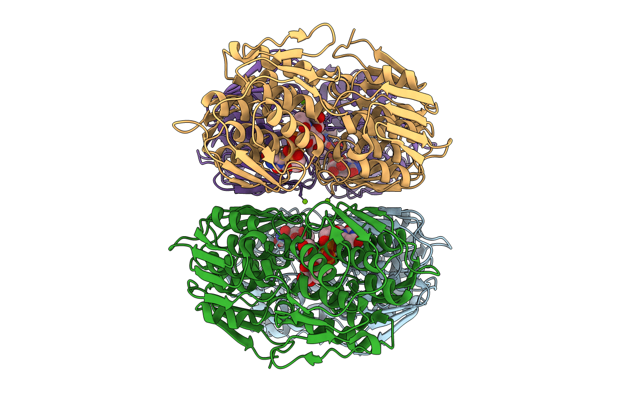 5BQ2 image