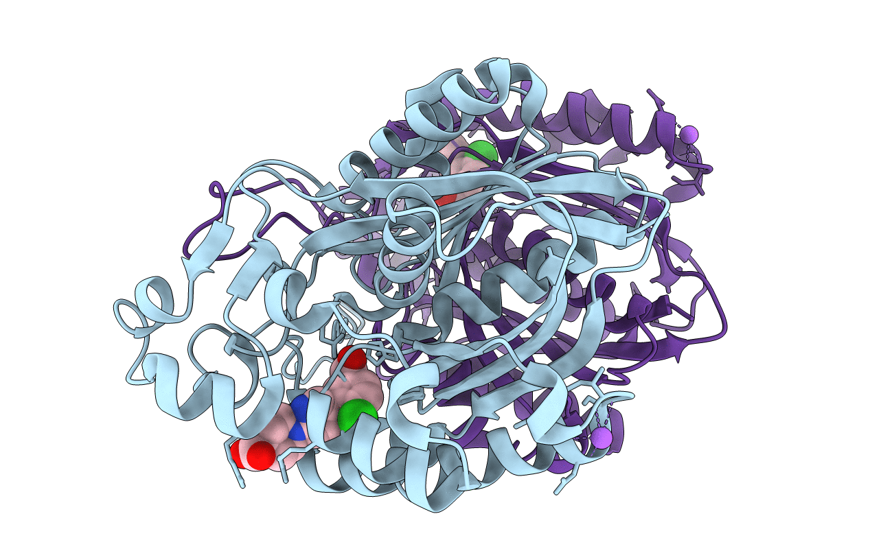 5BQS image