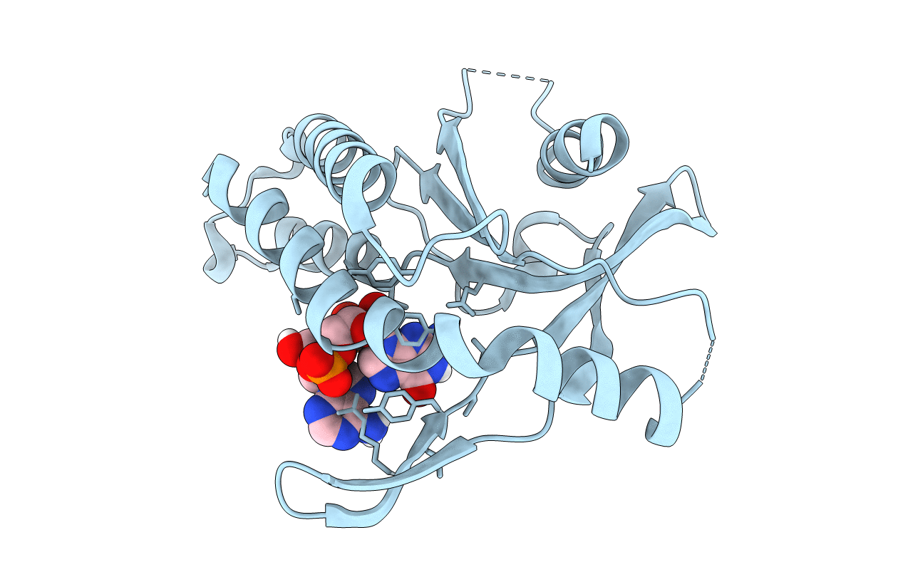 5BQX image
