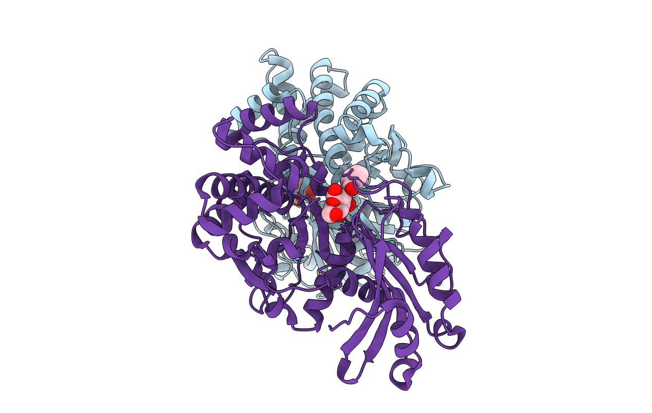 5BRD image