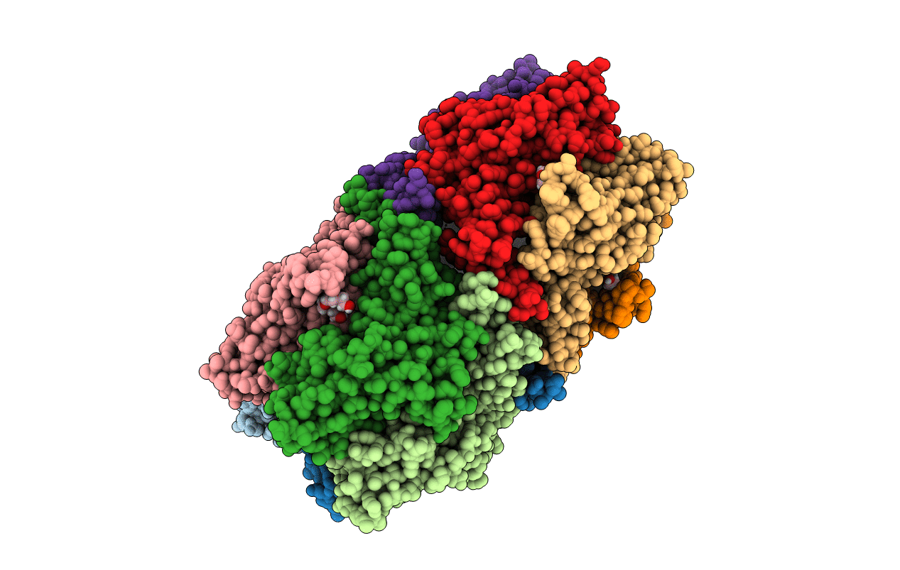 5BRX image