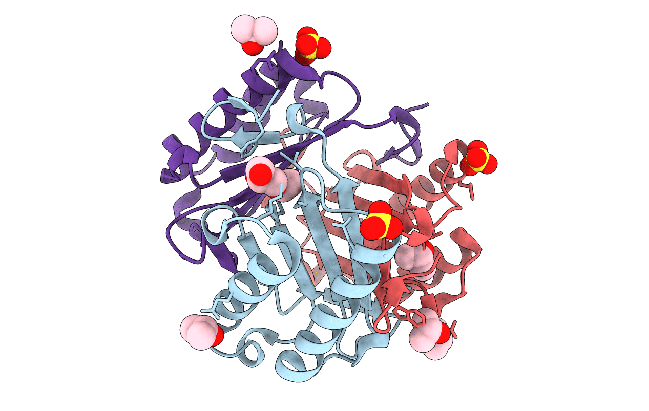5BS9 image