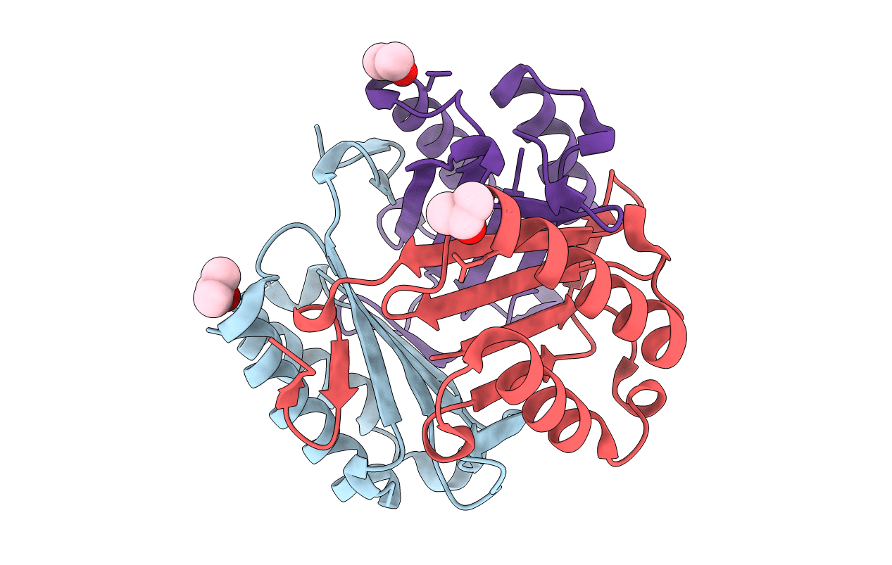 5BSC image