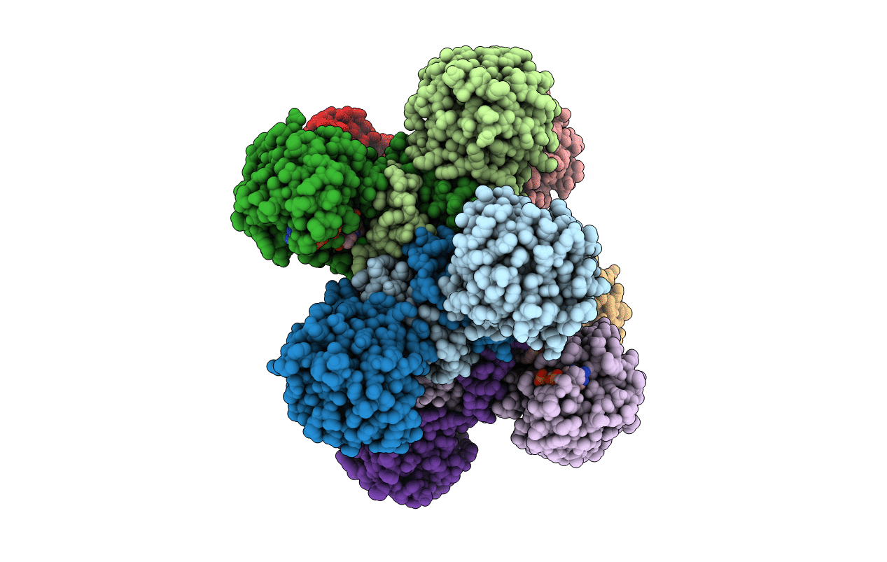 5BSG image