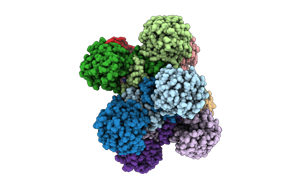 5BSH image