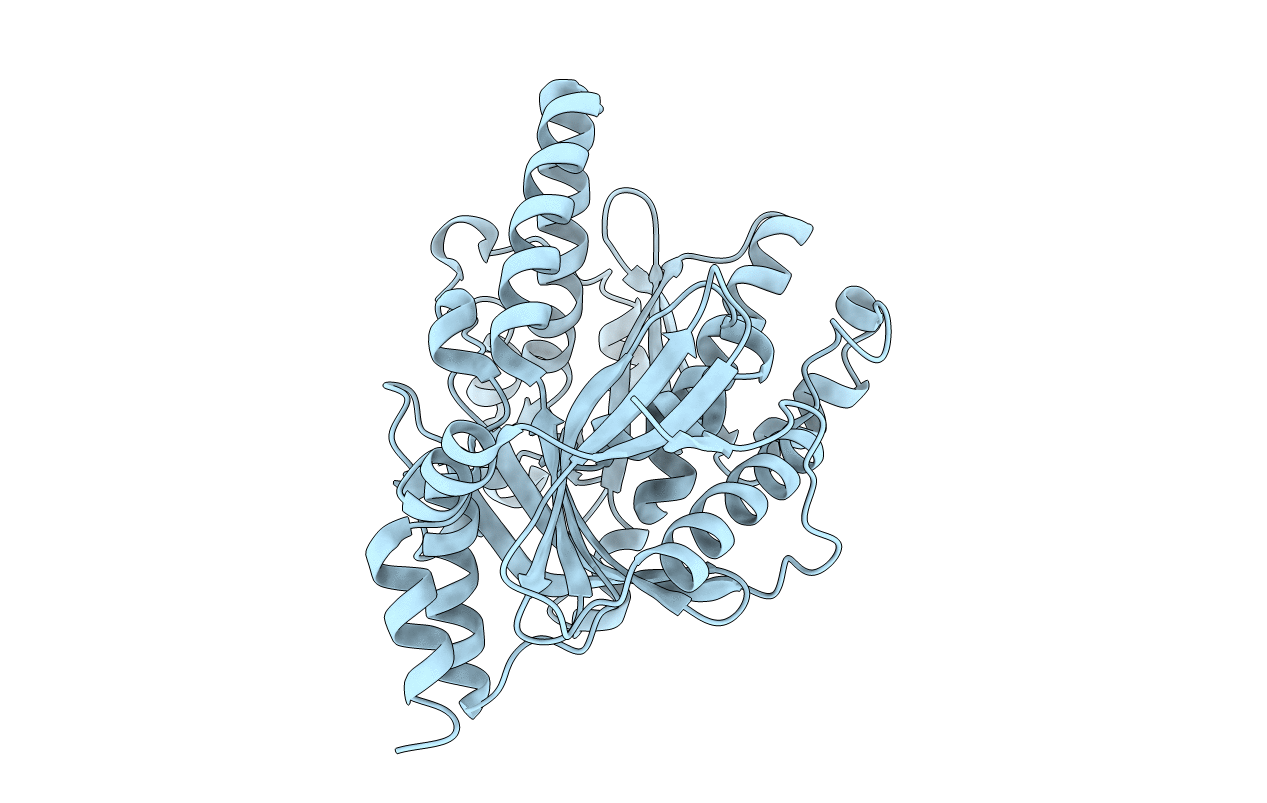 5BTH image