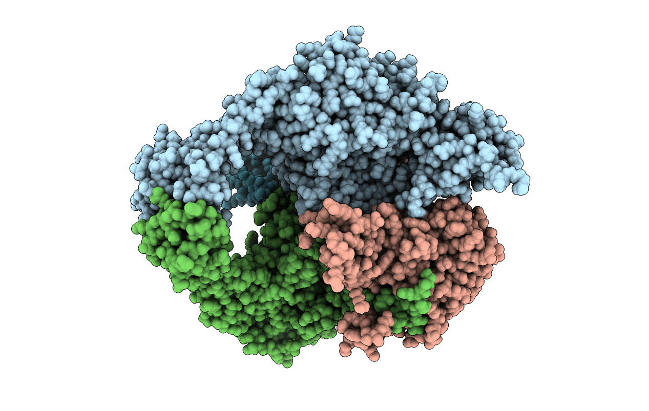 5BTN image