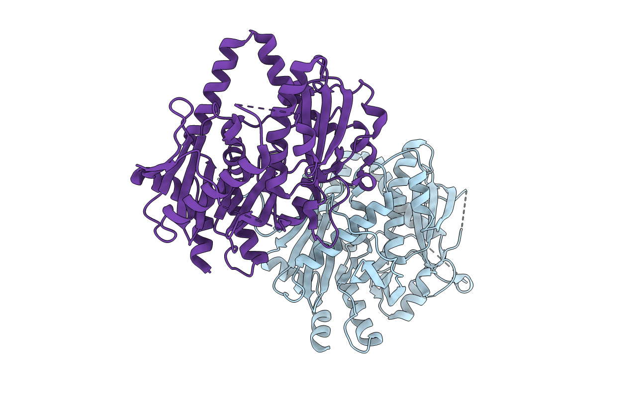5BTO image
