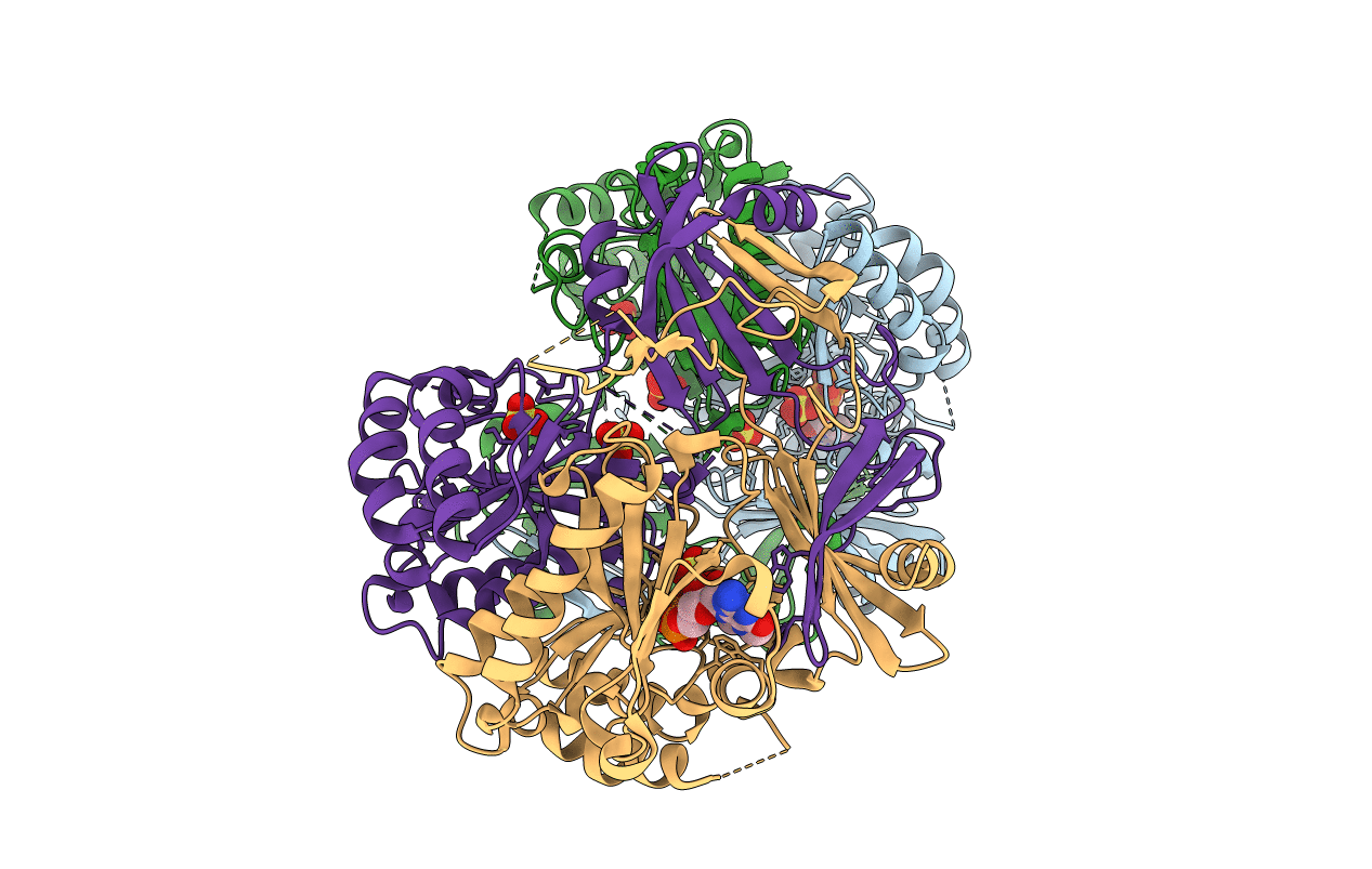 5BV3 image