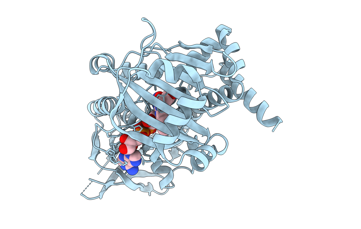 5BVA image