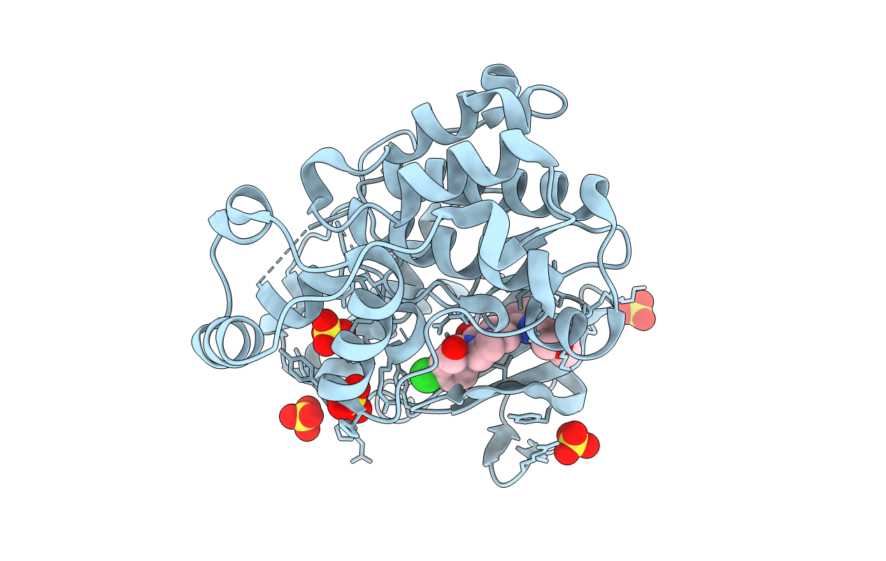 5BVD image
