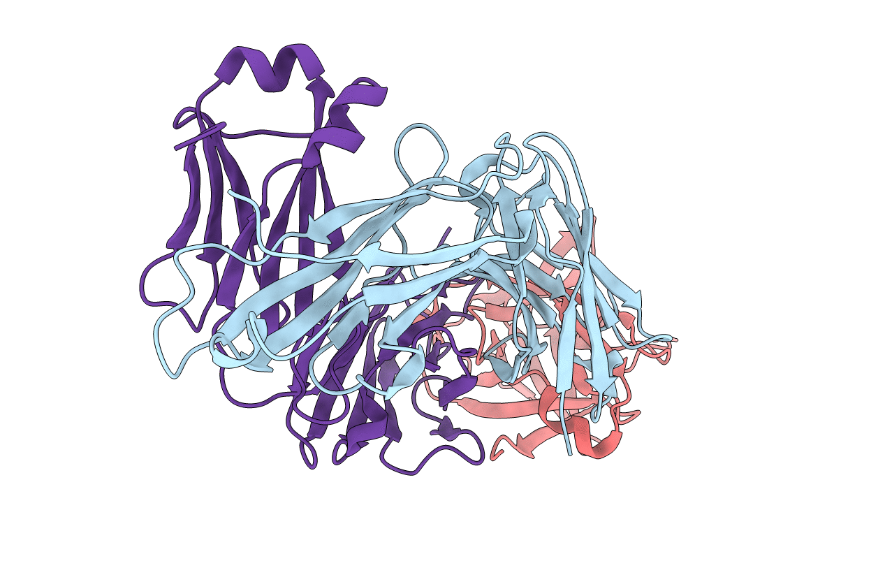 5BVP image