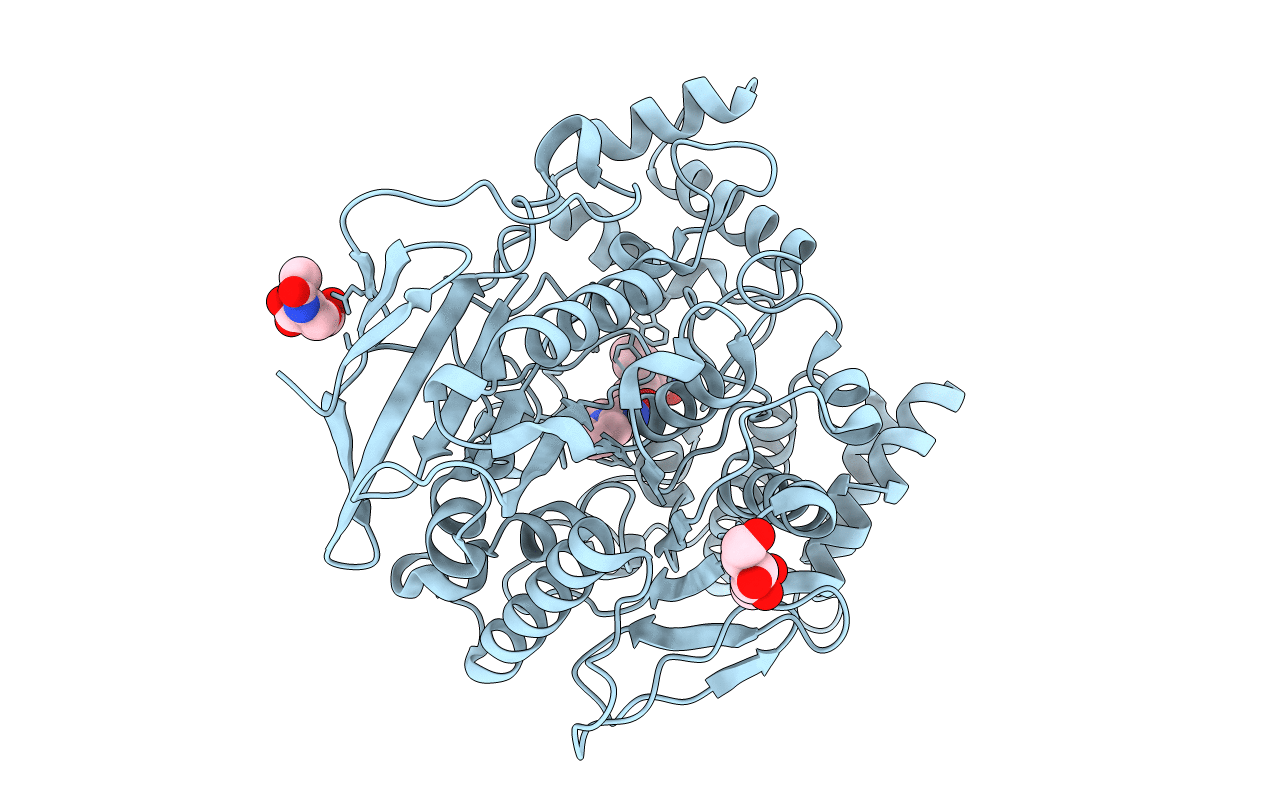 5BWC image