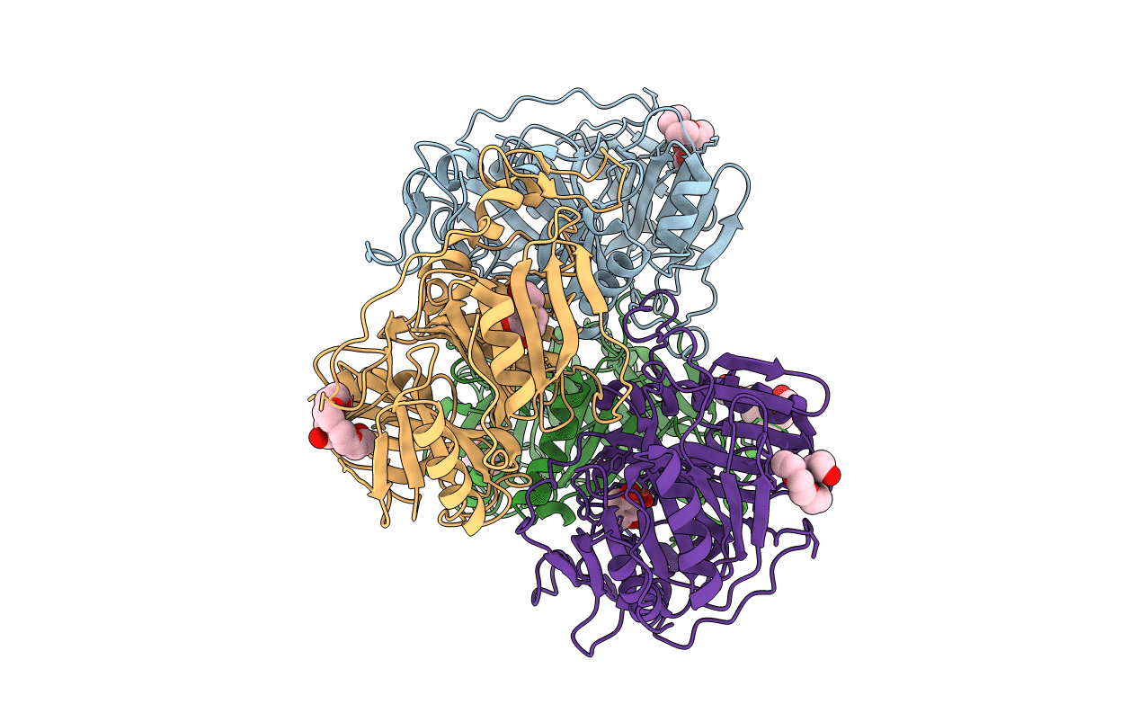 5BWH image