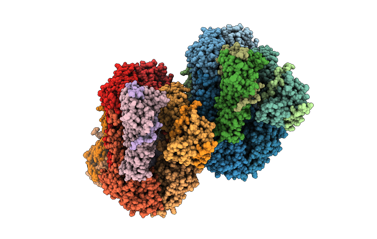 5BWK image
