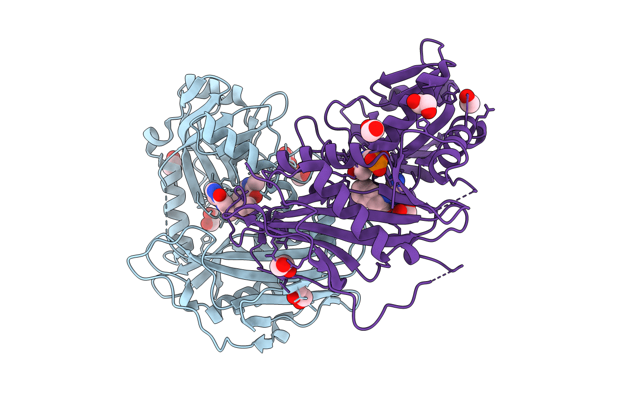 5BWR image