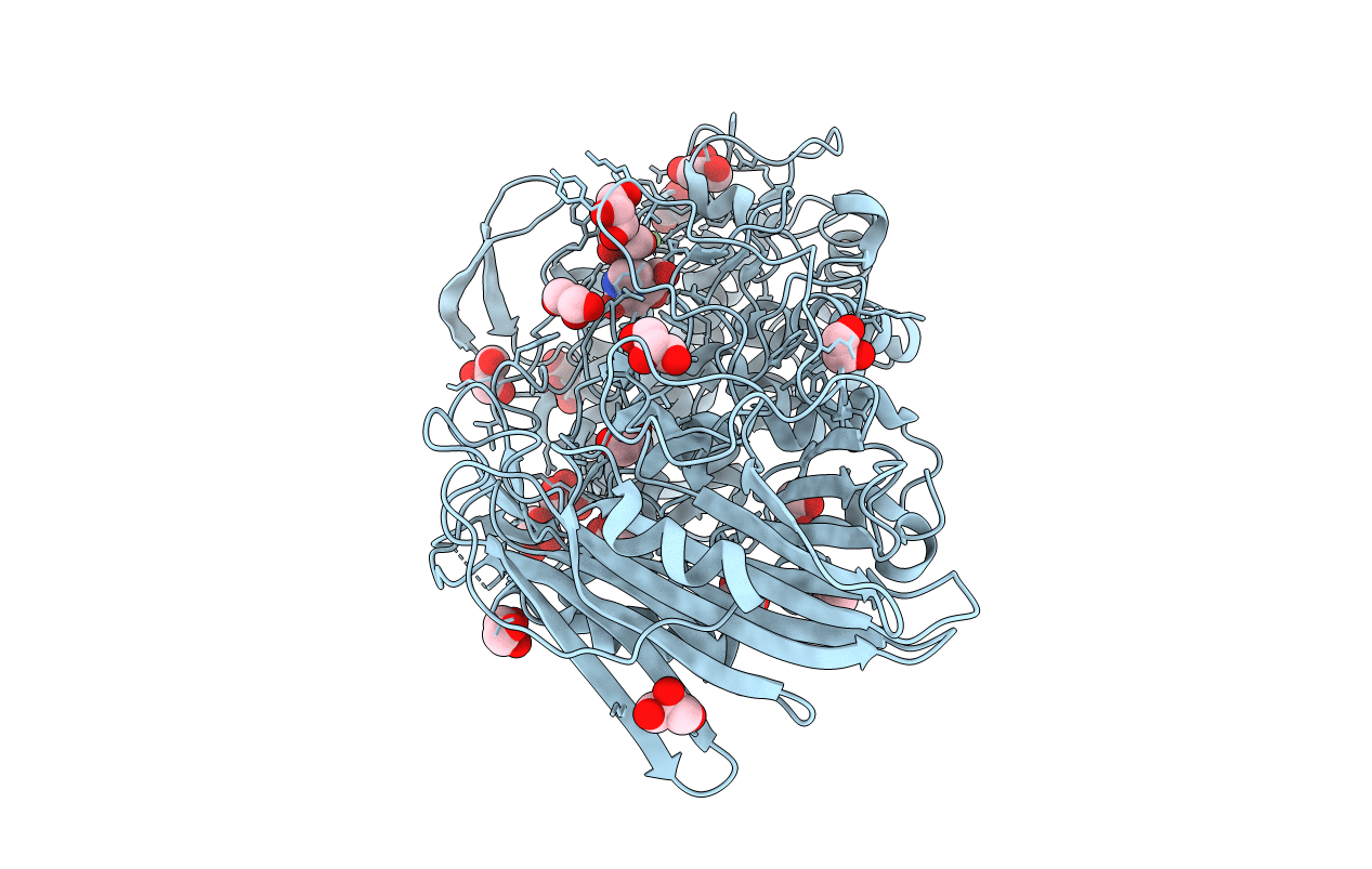 5BX4 image