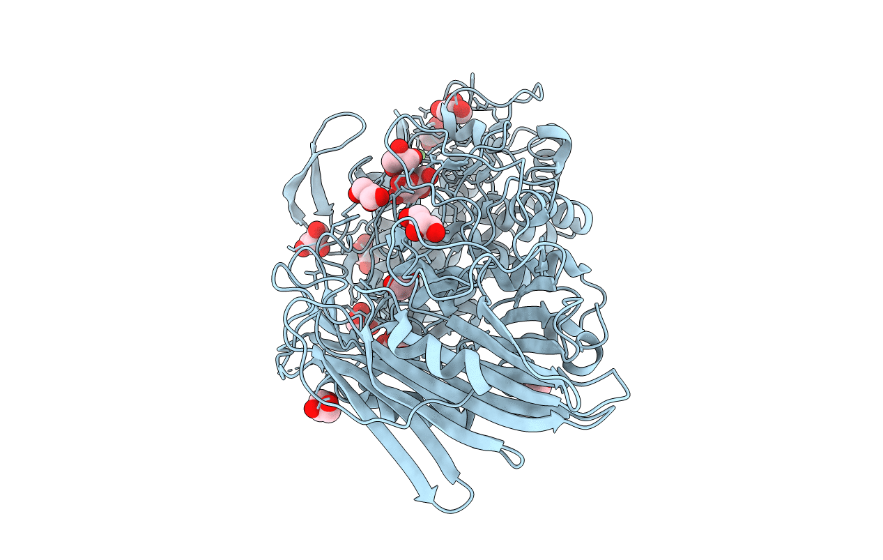 5BX5 image