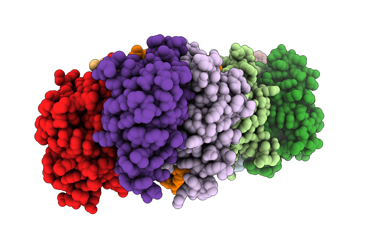 5BXB image