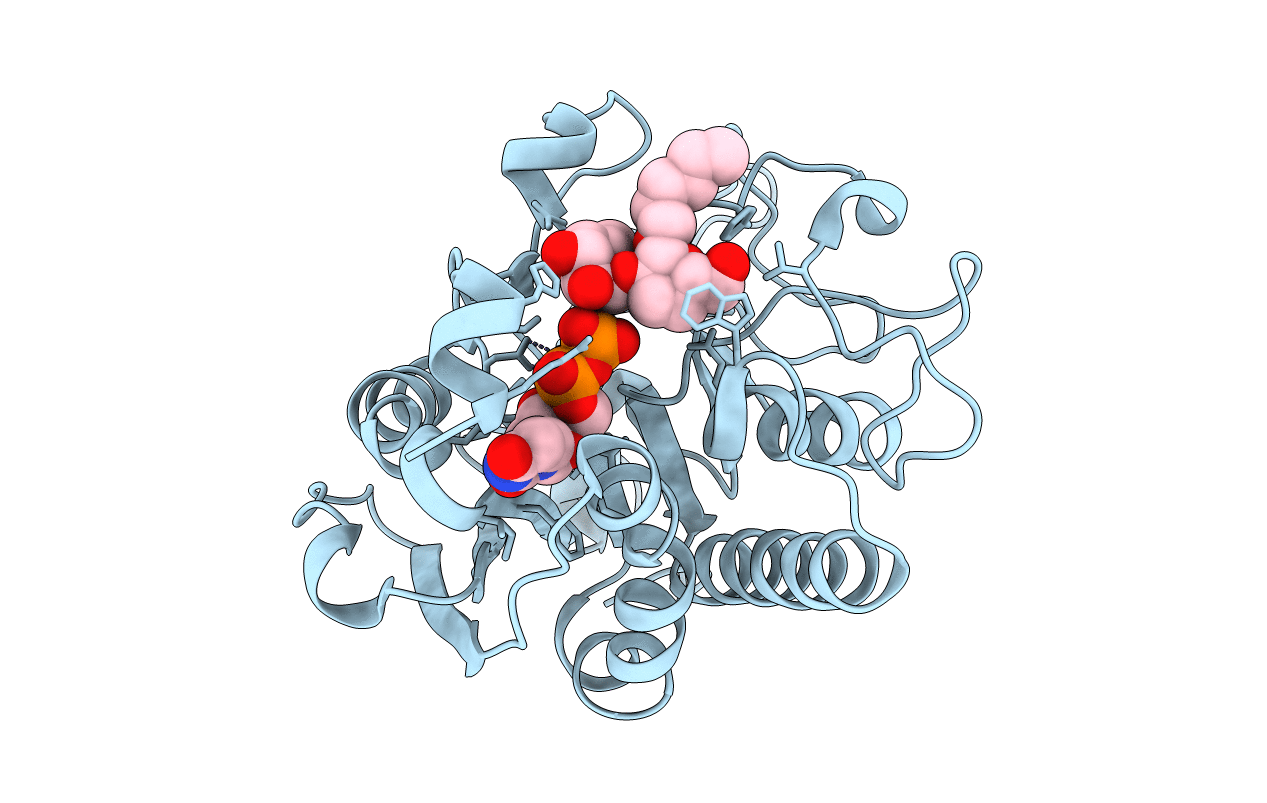 5BXC image