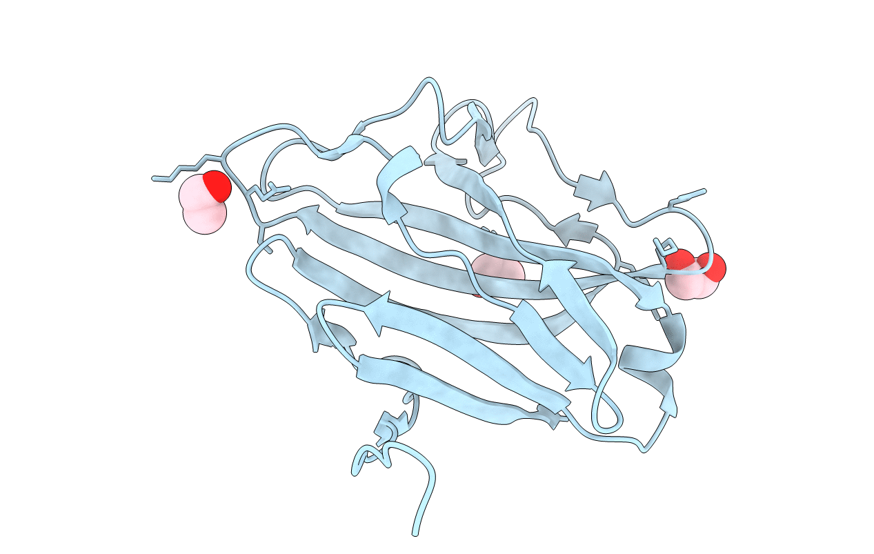 5BXG image