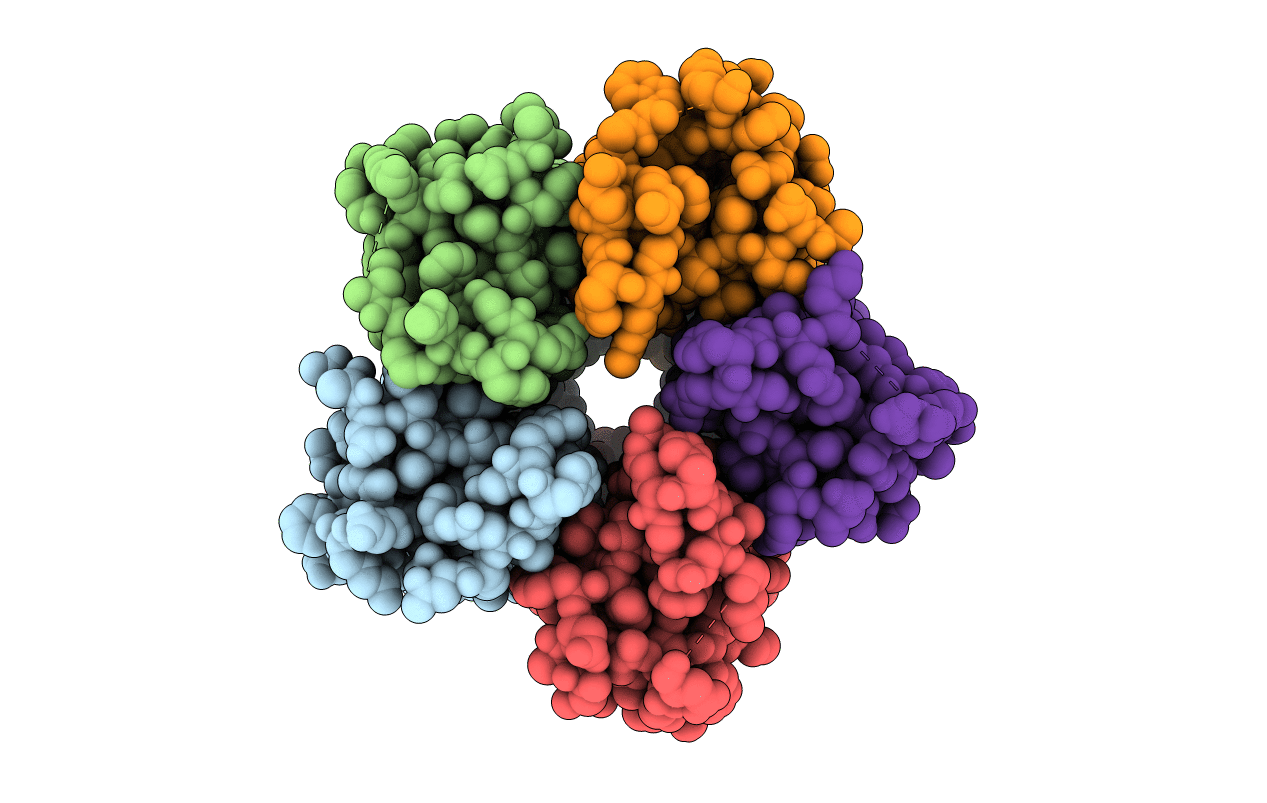 5BXH image