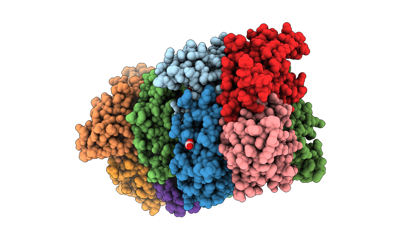 5BXI image