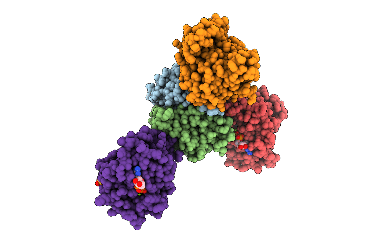 5BXQ image