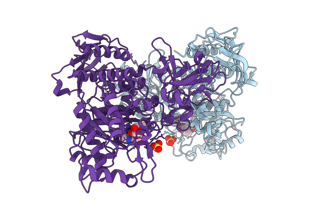 5BXS image