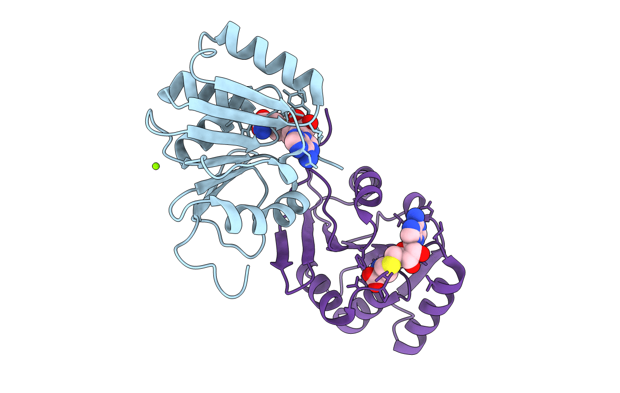 5BXY image