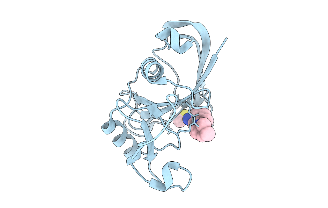 5BZP image