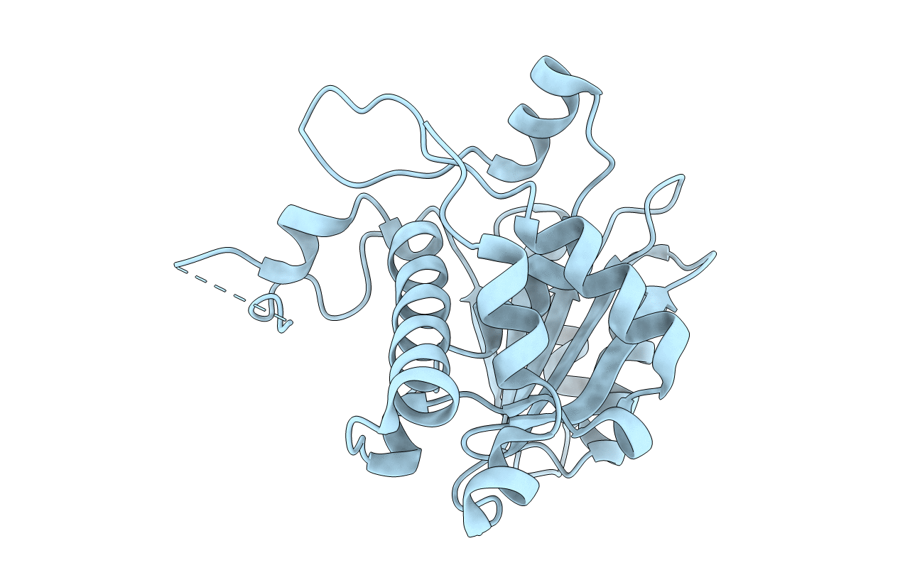 5C10 image