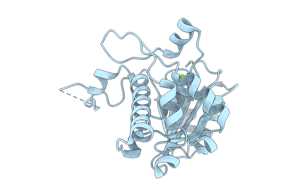 5C12 image