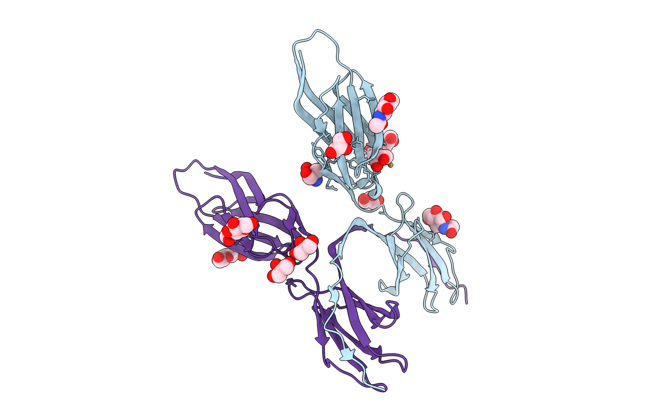 5C14 image