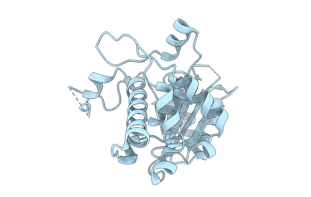 5C15 image