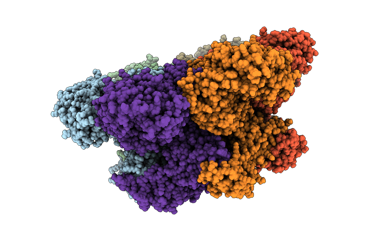 5C18 image