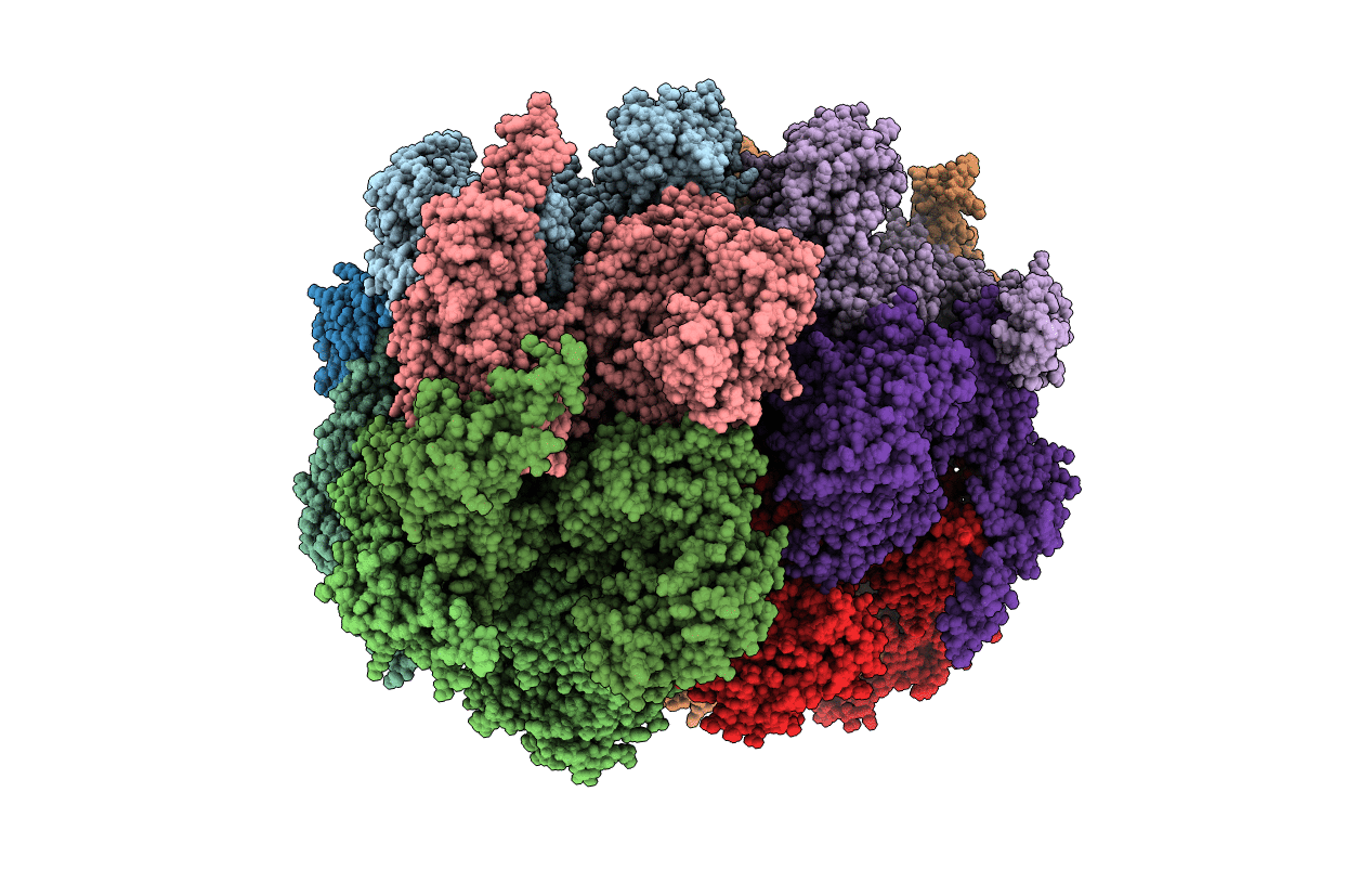 5C1A image