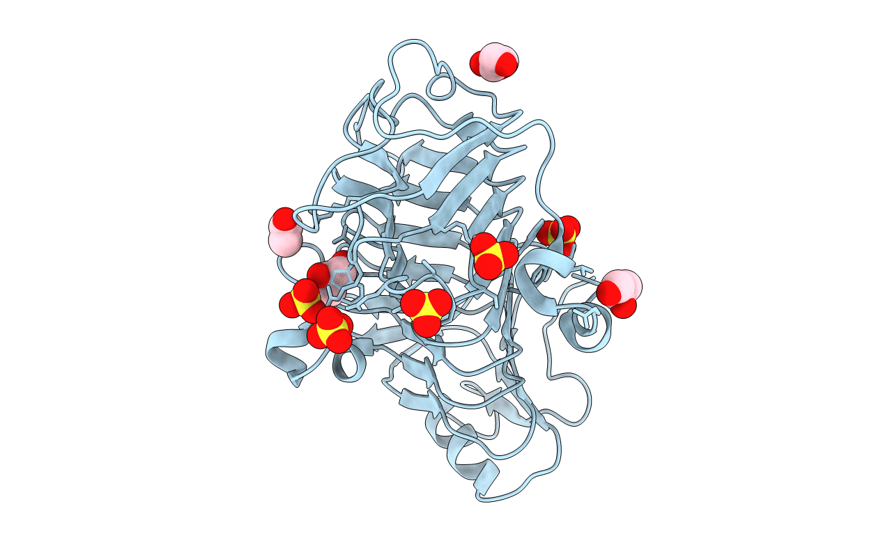 5C1C image