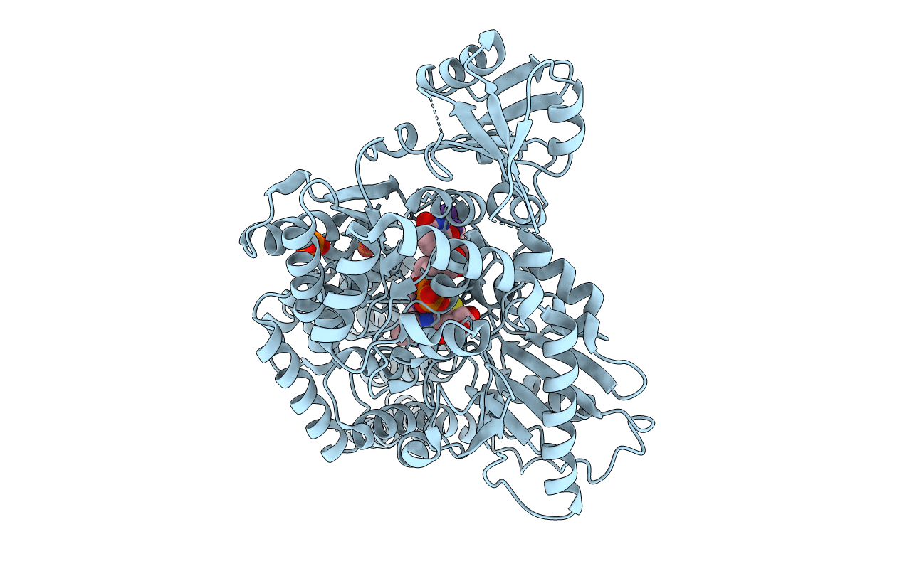 5C1D image