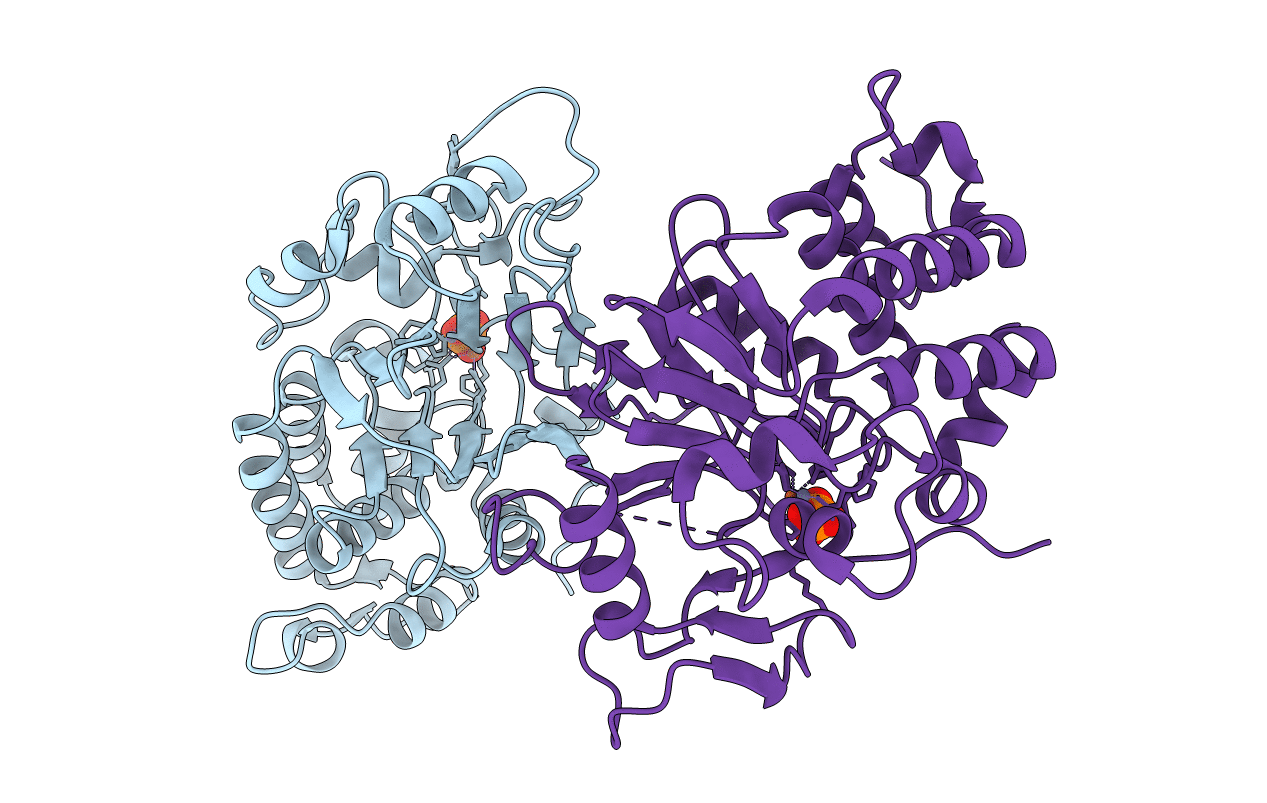 5C1V image