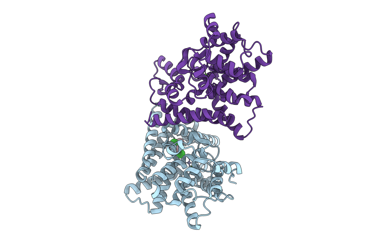 5C1W image