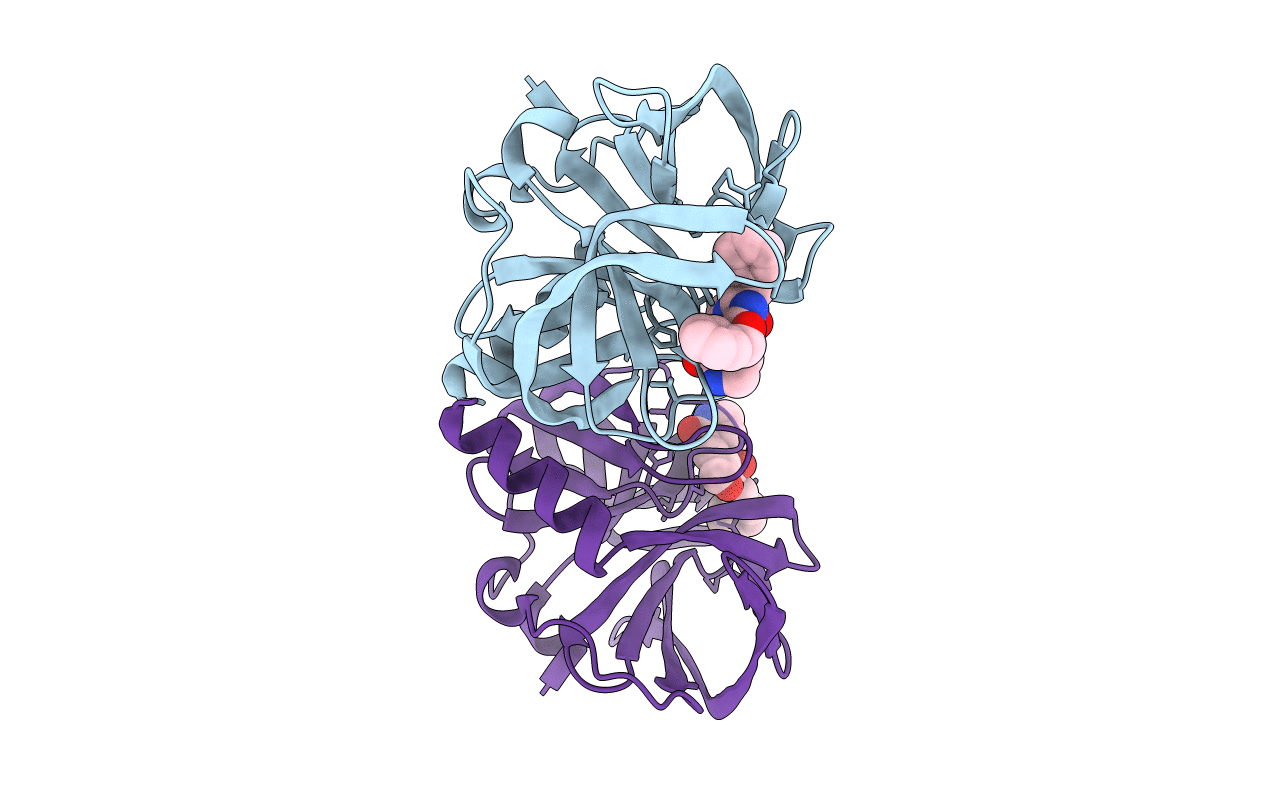 5C1X image