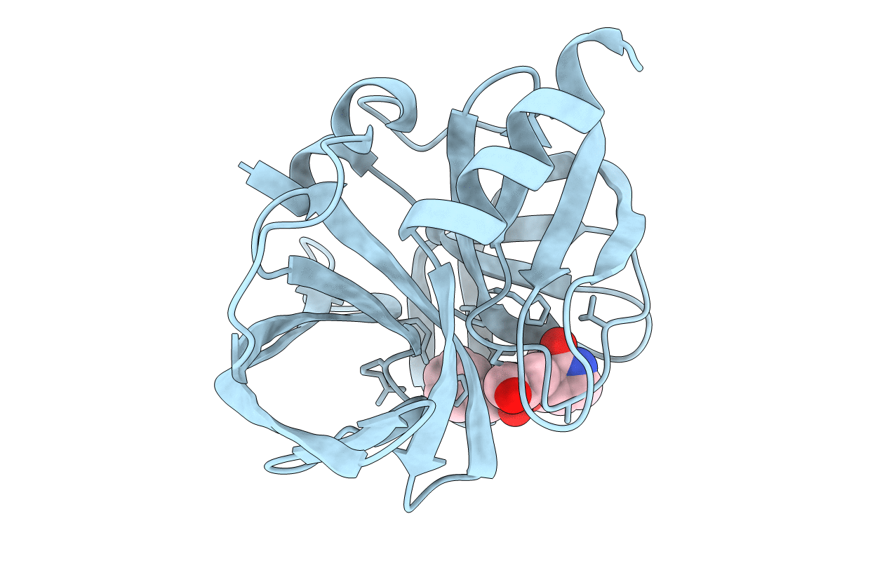5C20 image