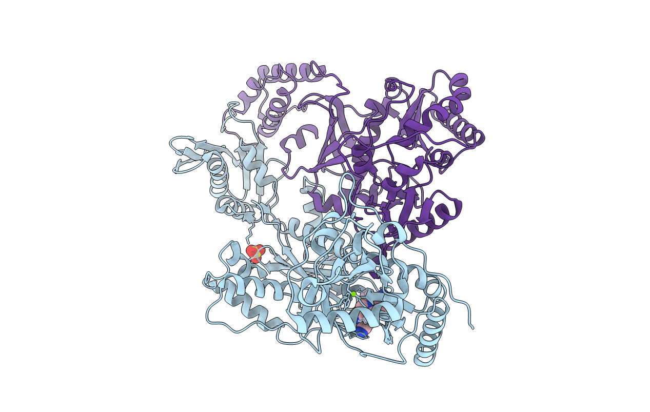 5C24 image