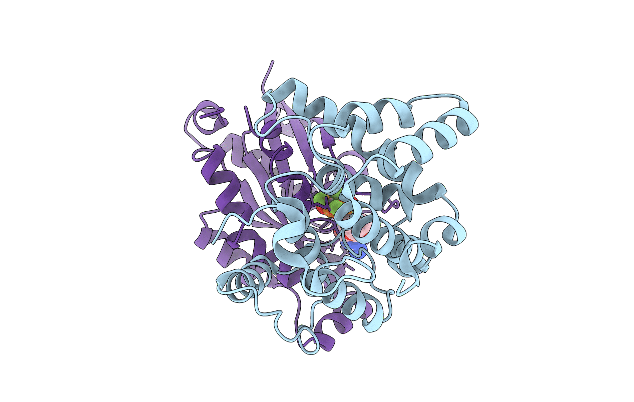 5C2J image