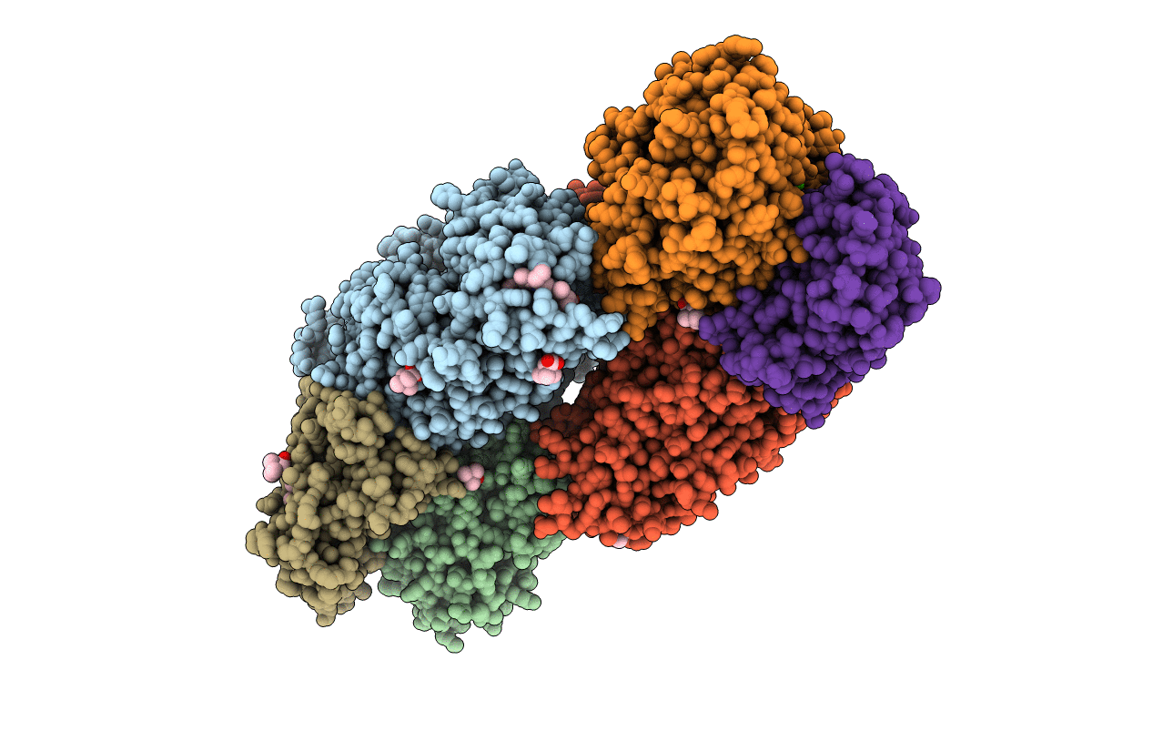 5C2V image