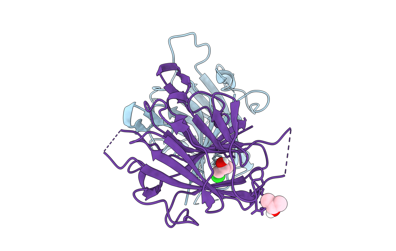 5C33 image