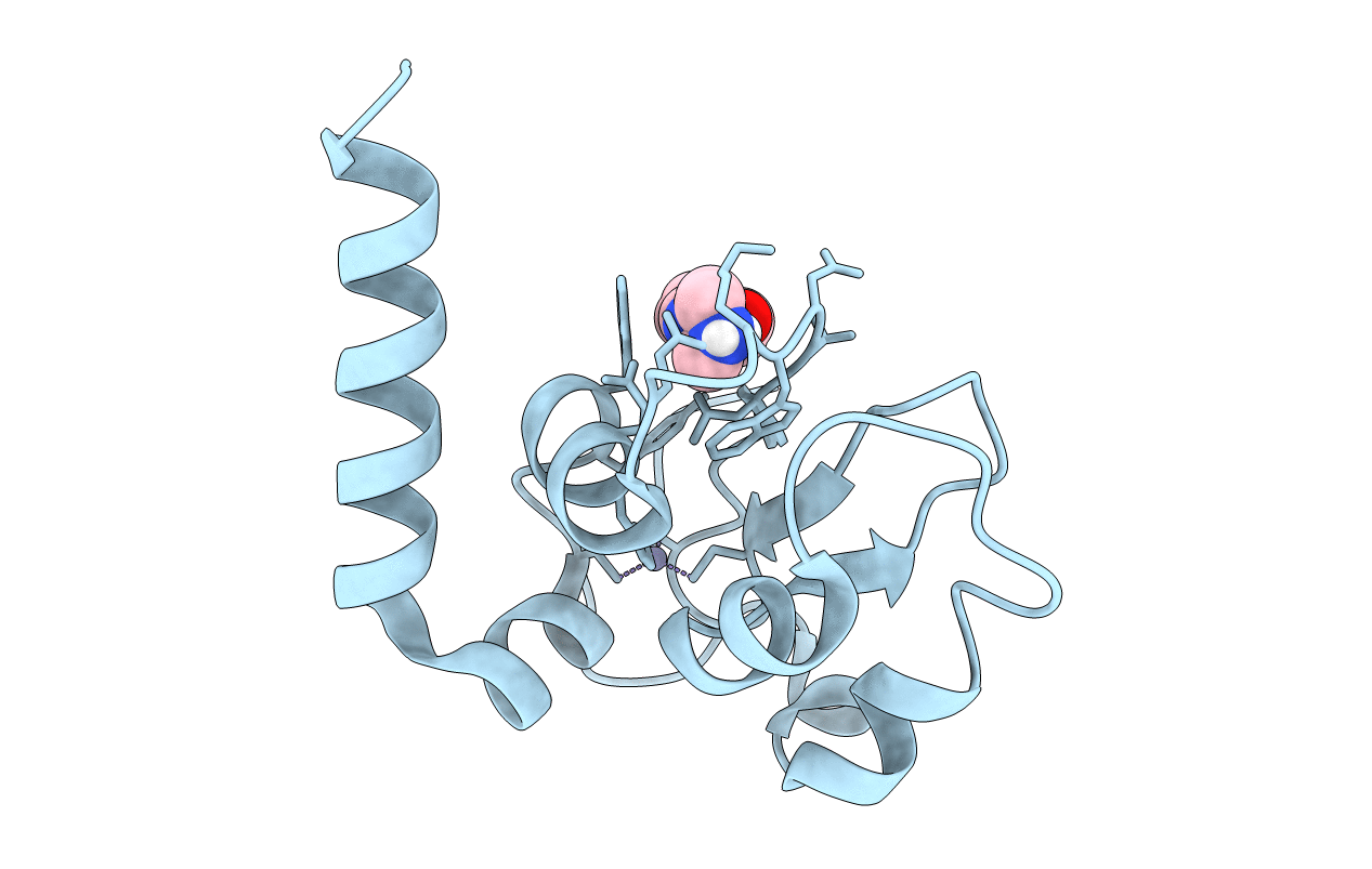 5C3H image